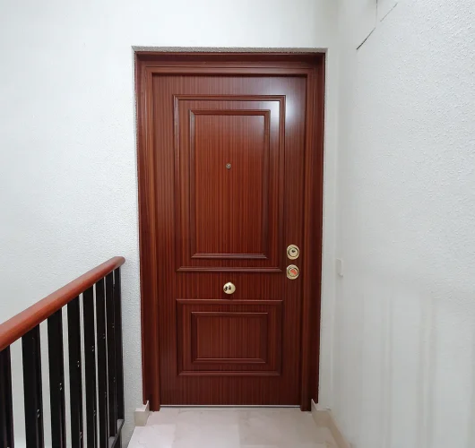 blindamos-tu-casa-puertas-acorazadas-galeria-01
