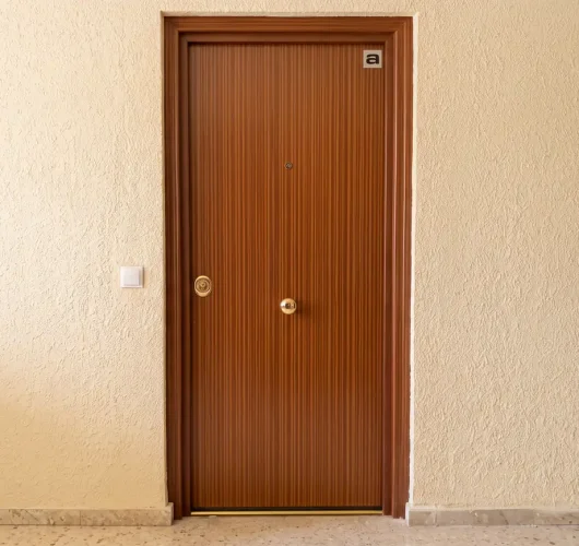 blindamos-tu-casa-puertas-acorazadas-galeria-02
